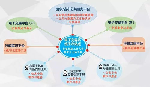 我國 互聯網 招標采購實踐與展望一一李小林