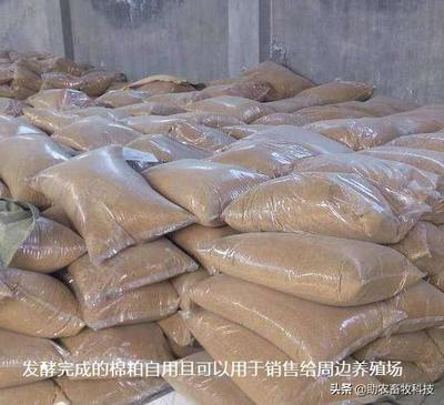 發(fā)酵飼料 抗生素替代與中小養(yǎng)殖場無抗養(yǎng)殖的可行性分析