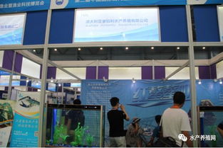 近500家水產(chǎn)產(chǎn)業(yè)鏈企業(yè)齊聚合肥漁博會，現(xiàn)場亮點紛呈，行業(yè)盛事引領(lǐng)產(chǎn)業(yè)新方向